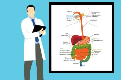 Healthcare Systems Impact Patient Outcomes